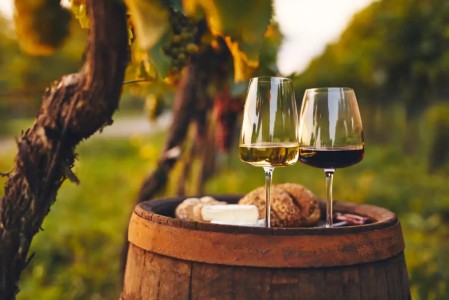 Foto de referencia, copas de vino en viñedo
