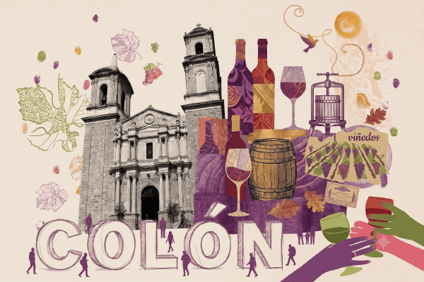 Vendimia del Valle de Colón - Xönthe
